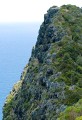 Lord Howe Island_20061209_031